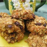 Brown Butter Raisin Oatmeal Travel Cookies