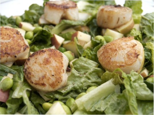 Post image for Ten Ways to Get Healthy with Integrity in 2010 and Seared Scallop Salad