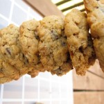 Best Chocolate Chip Cookies by angela roberts