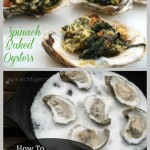 Sustainable Seafood: Baked Oysters with Spinach by Angela Roberts
