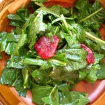 Dandelion Salad by angela Roberts