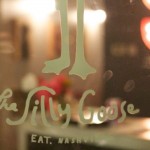 The Silly Goose by Angela Roberts