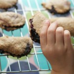 Blueberry Hand Pie by Angela Roberts