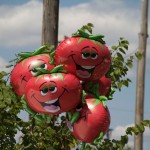 Tomato Art Festival via Angela Roberts