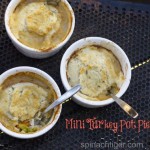 Mini Turkey Pies By angela roberts