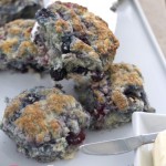 Red white & Blue Berry Biscuit by Angela Roberts