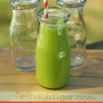 Kombucha Green Smoothie by Angela Roberts
