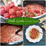 Fresh Garden Tomato Sauce Recipe by Angela Roberts