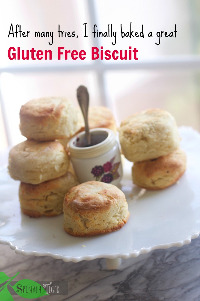 Gluten Free Biscuit, Fluffy, southern approved