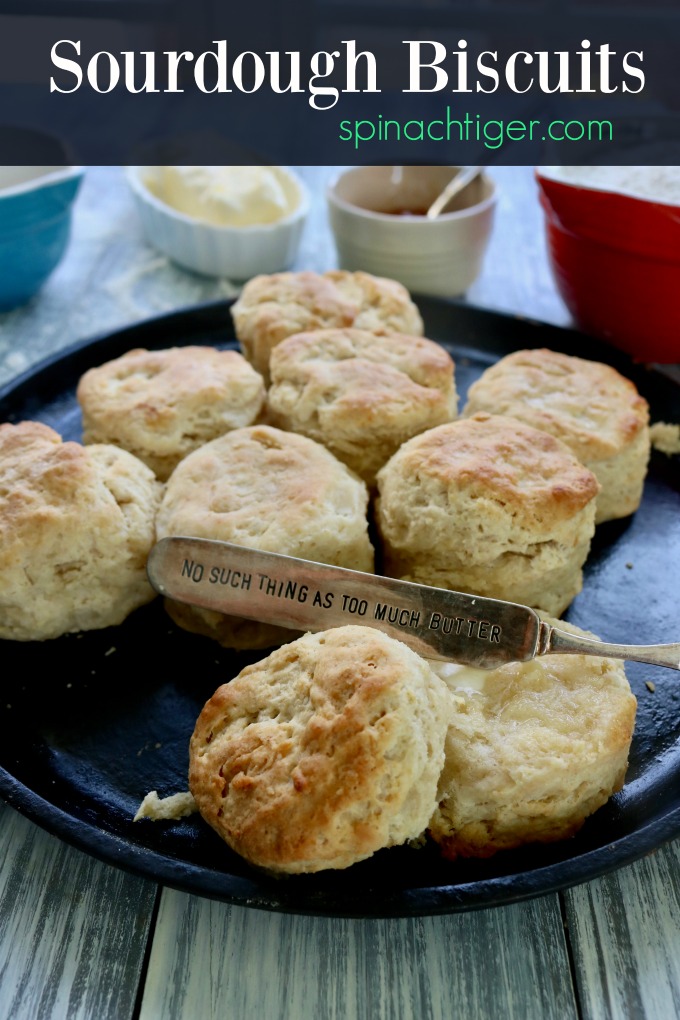 Easy Sourdough Biscuits with Sourdough Starter Spinach Tiger