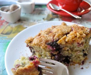 Blueberry Crumb Coffee Cake
