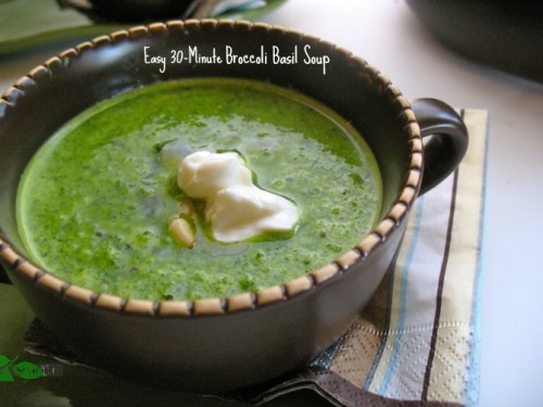 Broccoli Basil Soup