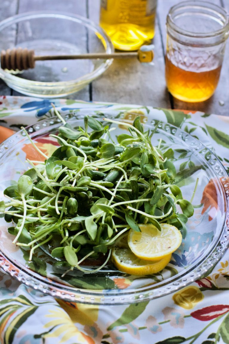 Lemon Honey Salad Dressing, Micro Greens