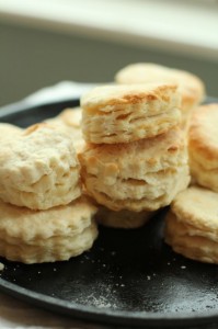 Best Southern Flaky Buttermilk Biscuits