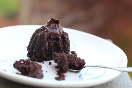 Chocolate Sour Cream Mini Bundt Cakes