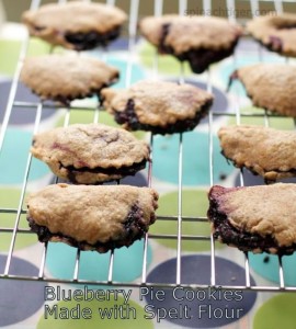 Blueberry Hand Pie with Spelt Pie Crust