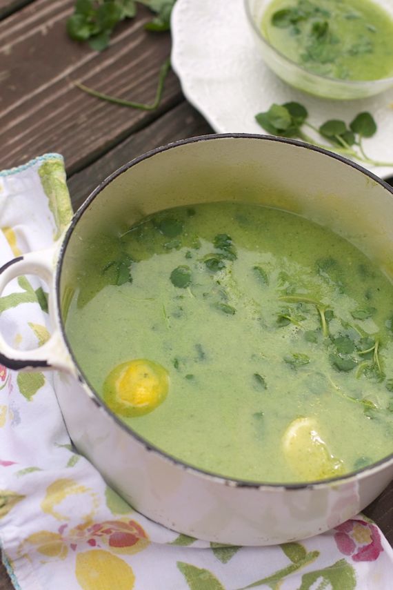 30 Minute Health Soup, Healthy Soup Recipes by Spinach Tiger
