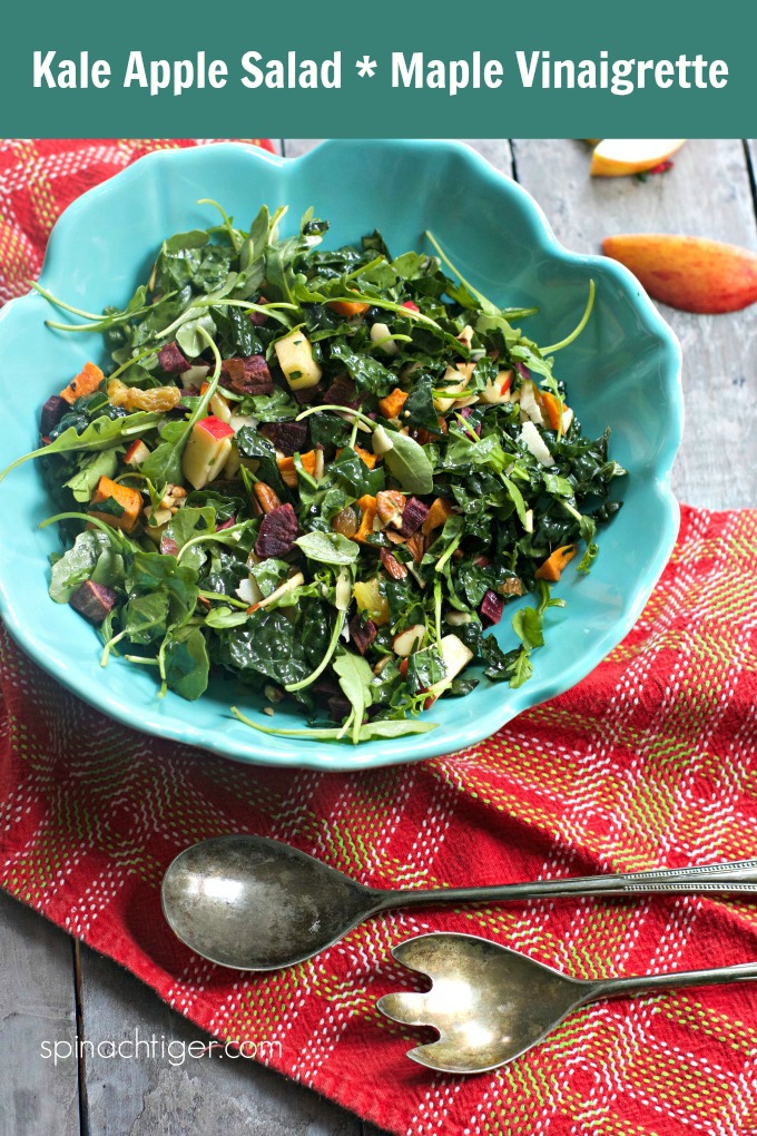 Kale and apple salad with maple vinaigrette ushers in fall and works through winter. #kalesalad #kale #salad #maplevinaigrette #spinachtiger #potlucksalad #potluckideas via @angelaroberts