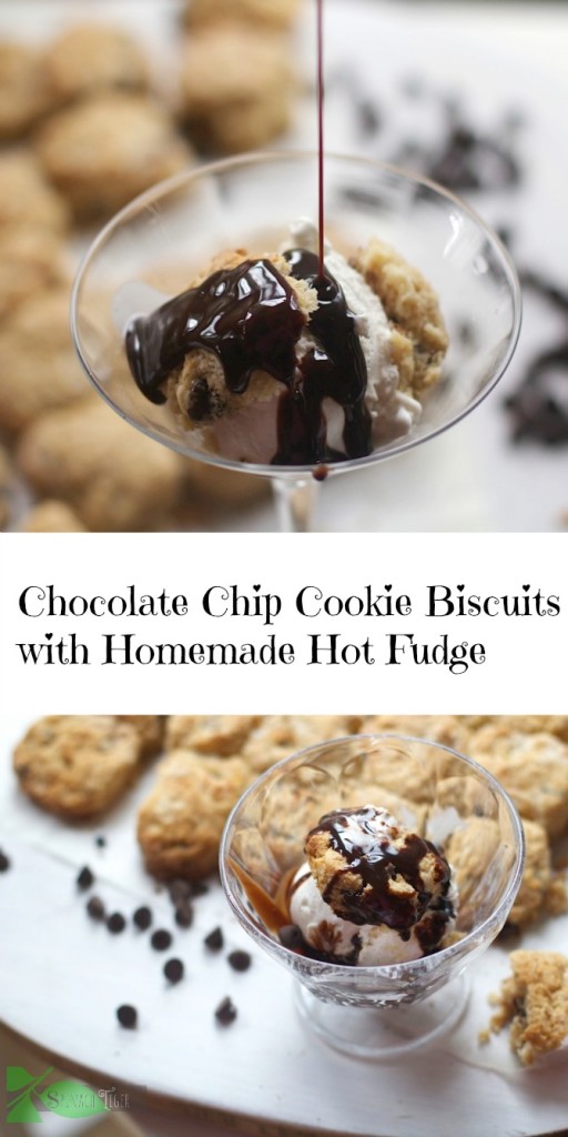 Chocolate Chip Cookie Dough Biscuits from Spinach Tiger