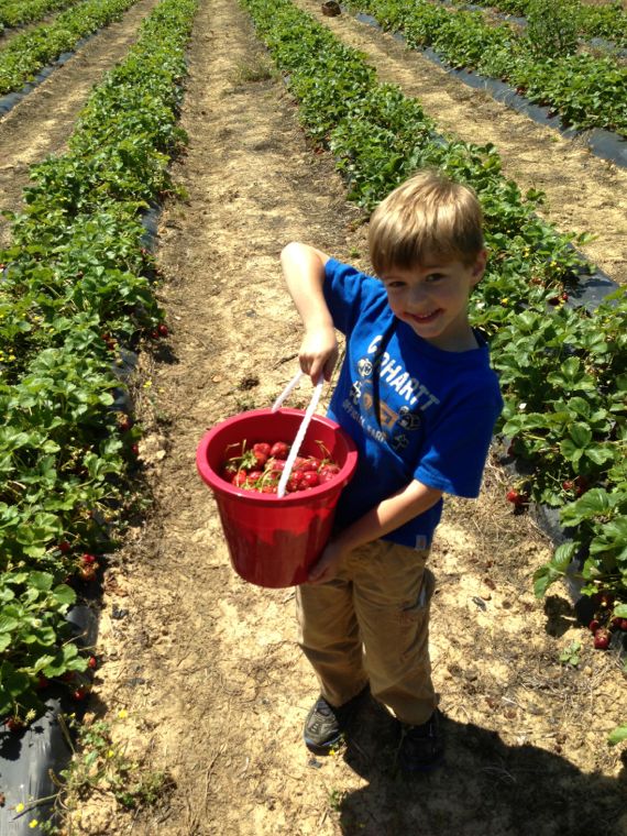 Freezing Strawberries in Mason Jars Spinach Tiger