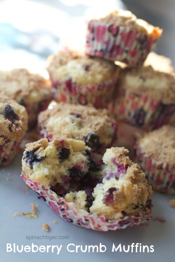 Blueberry Buttermilk Muffins with Cinnamon Crumb Topping