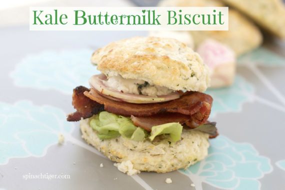 Kale Biscuit for National Kale Day by Spinach Tiger