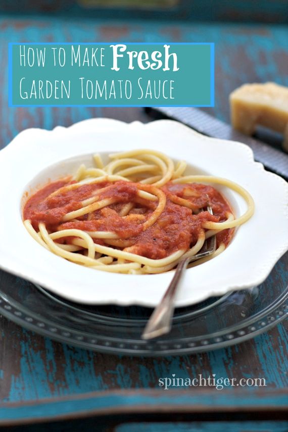 Garden Tomato Sauce Recipe with Fresh Basil Spinach Tiger