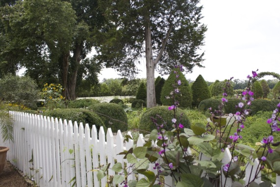 Cemetery at Carnton Plantation by Angela Roberts