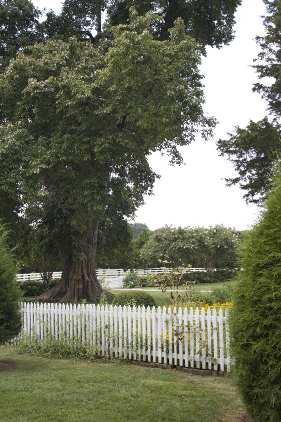 Cemetery at Carnton Plantation by Angela Roberts