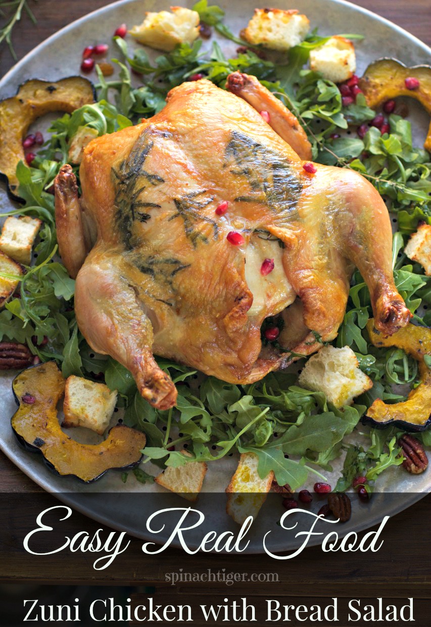 One Hour Zuni Cafe Chicken with Bread Salad recipe from legendary Judy Rogers. Roast Chicken in one hour with all the tips for the perfect chicken that I have made at least 200 times. #spinachtiger #roastchicken #easydinner #breadsalad via @angelaroberts