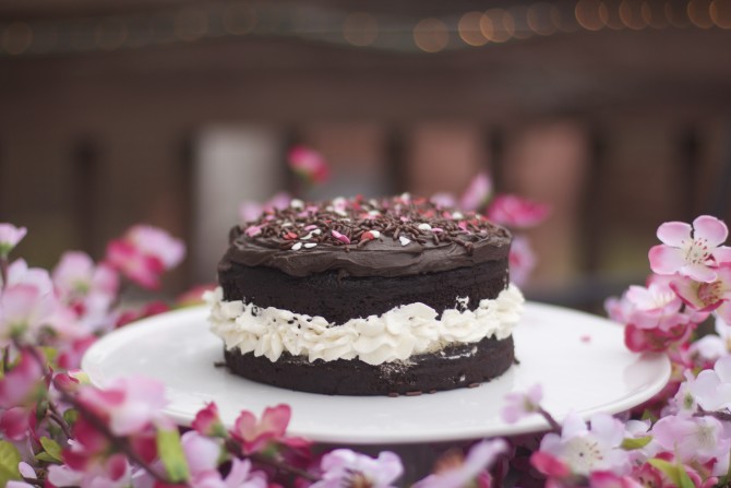 Chocolate Fudge Cake Video by angela roberts