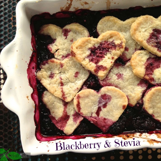 Berry Pie and Cobbler Recipes Using Stevia