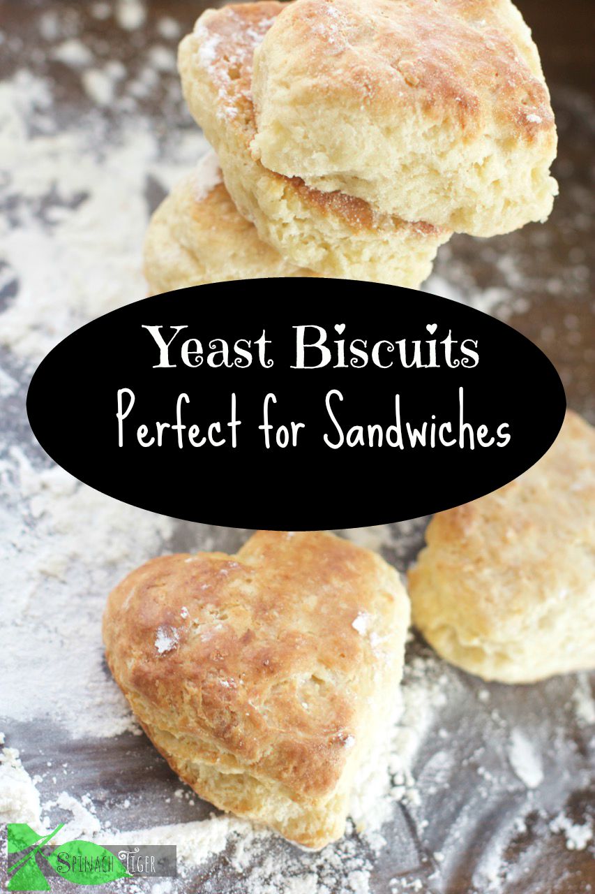Angel Biscuits Recipe, a Biscuit with Yeast - Spinach Tiger