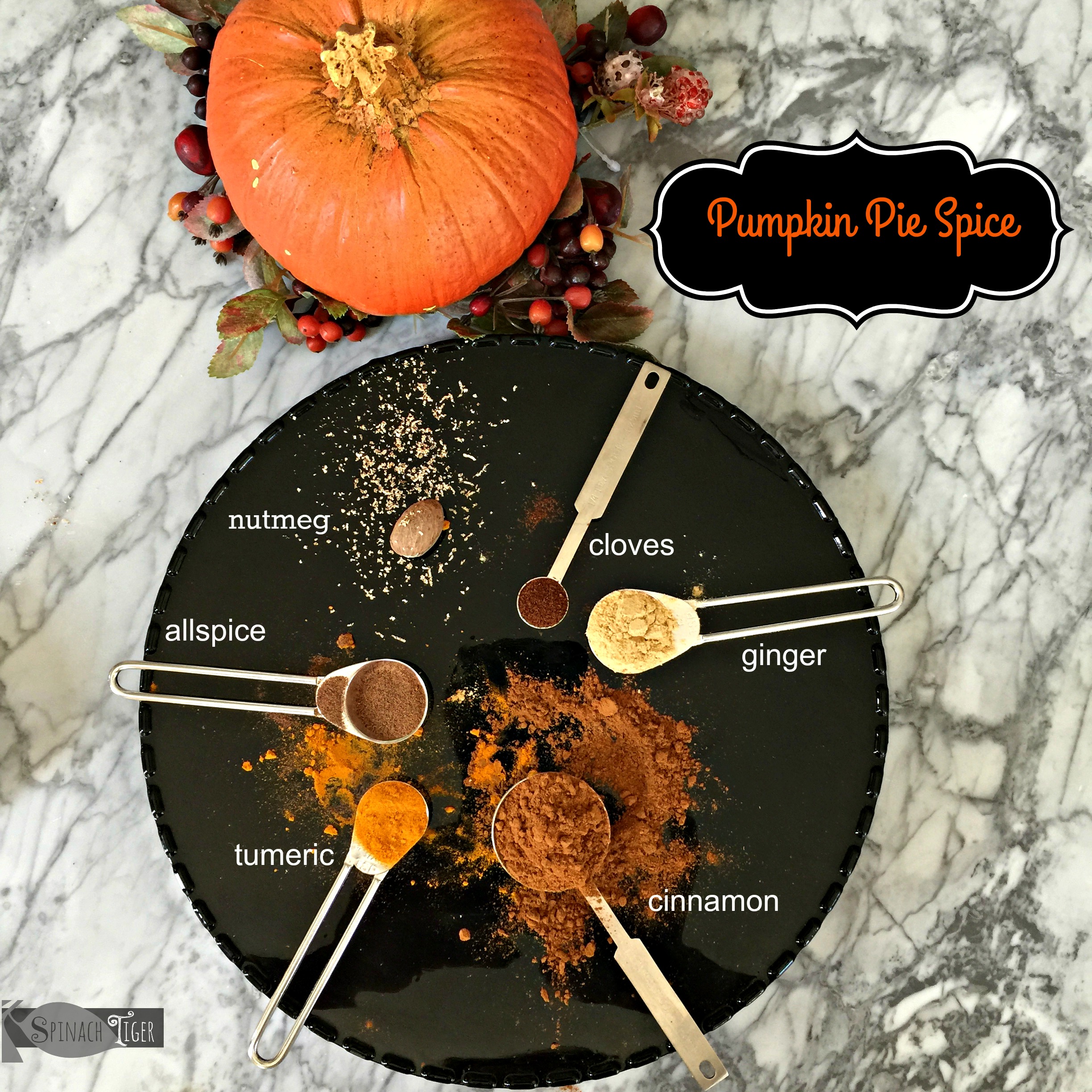 How to Make Pumpkin Pie Spice from Spinach TIger