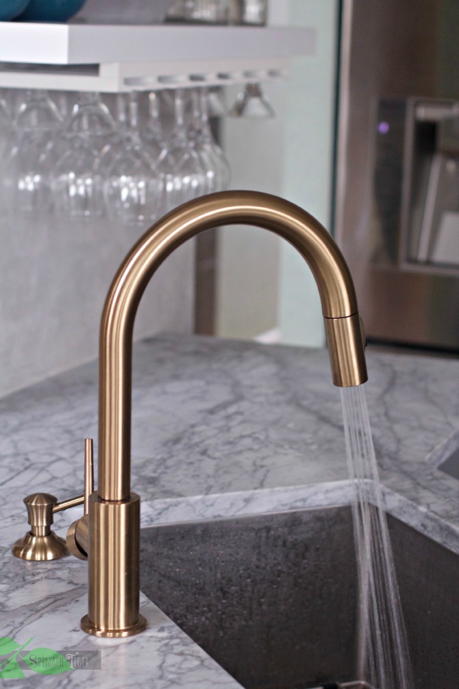 Delta Gold Kitchen Faucet Spray