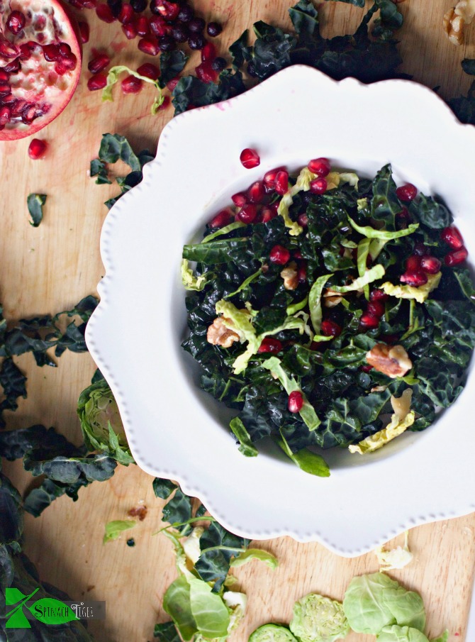 Winter Salad with Kale by Spinach Tiger