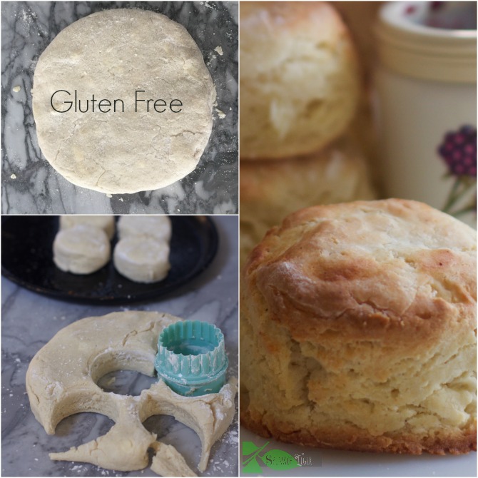 Gluten Free Biscuit by Angela Roberts