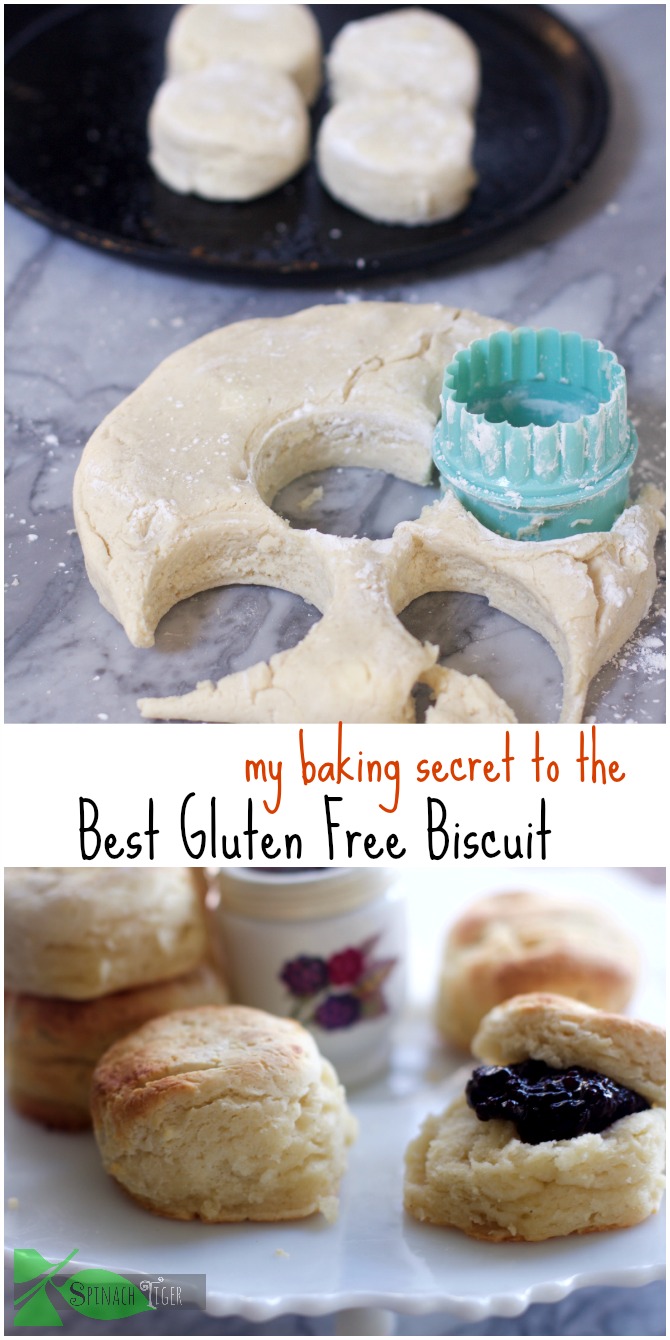 Fluffy Gluten Free Biscuit by Angela Roberts