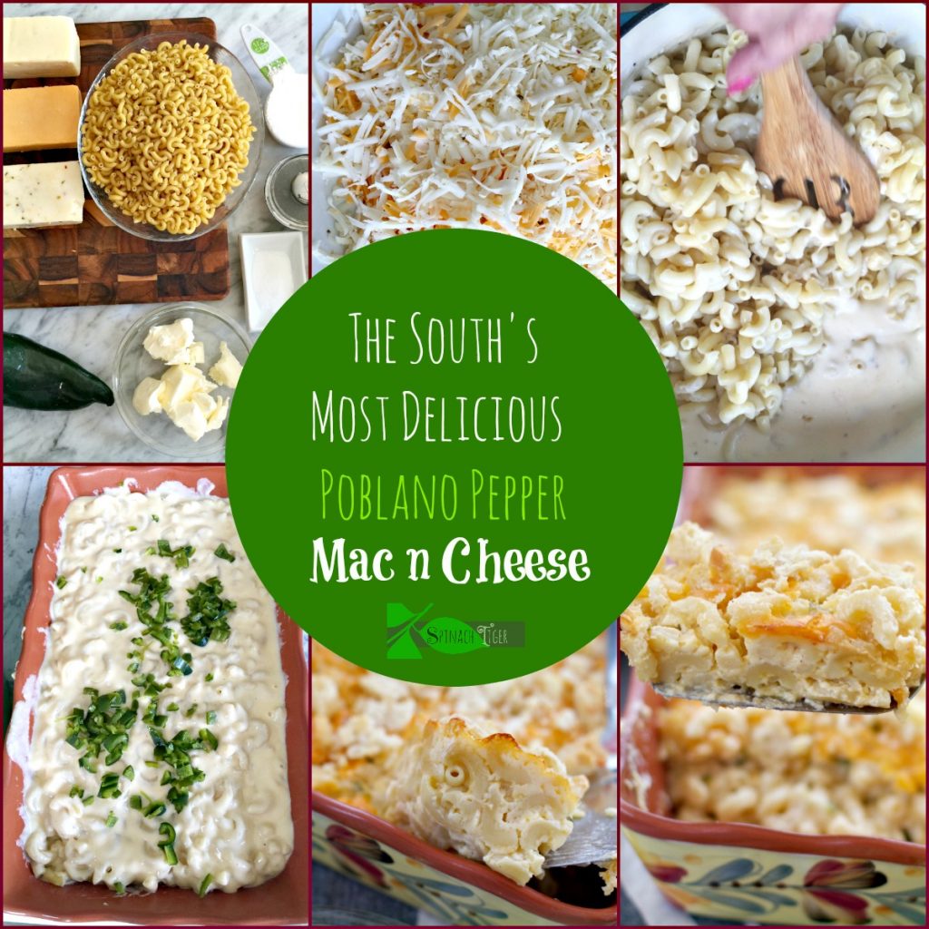 best cheese to use for homemade mac and cheese
