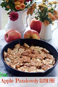 Pennsylvania Dutch Apple Pandowdy Gluten Free Pie Dough