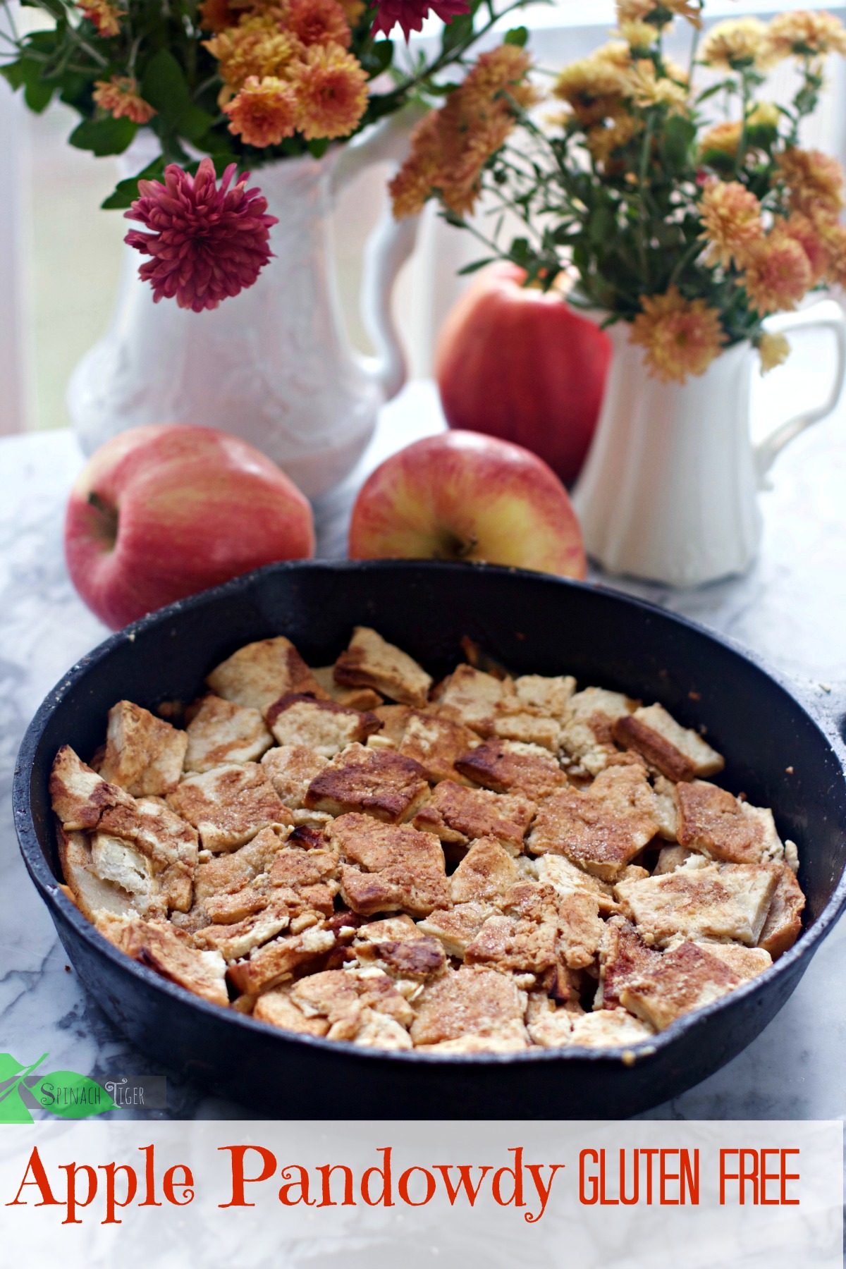 Pennsylvania Dutch Apple Pandowdy by Angela Roberts