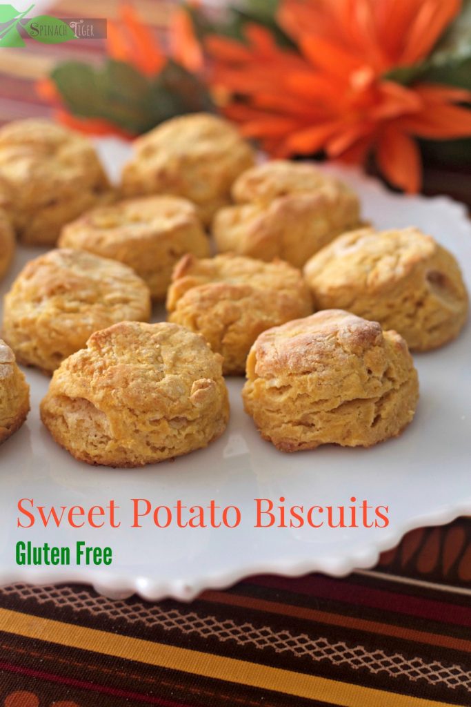 lead-sweet-potato-biscuit-gluten-free