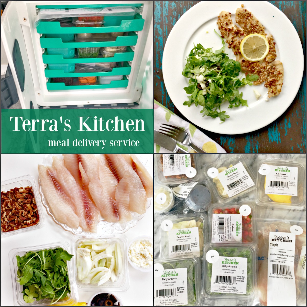 Terras Kitchen Collage 