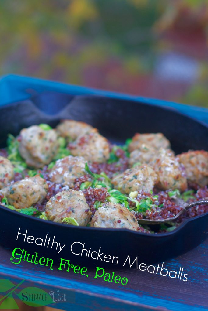Healthy Ground Chicken Meatballs from Spinach Tiger