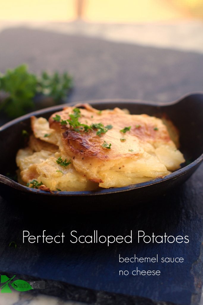 Old Fashioned Scalloped Potatoes Recipe with Bechemel Sausce from Spinach Tiger