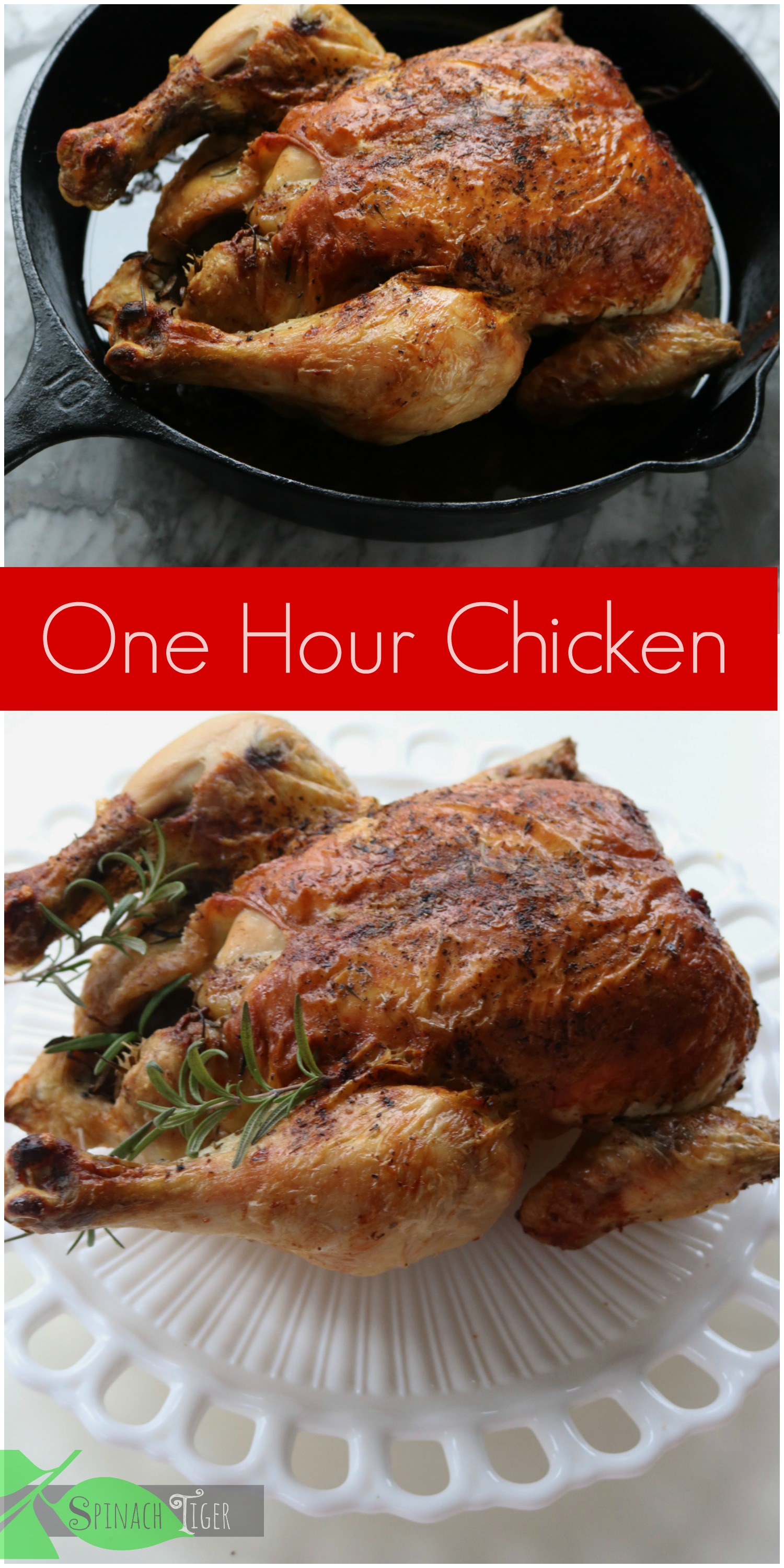Italian Roast Chicken Recipe and How to Roast Chicken in the Oven from Spinach Tiger