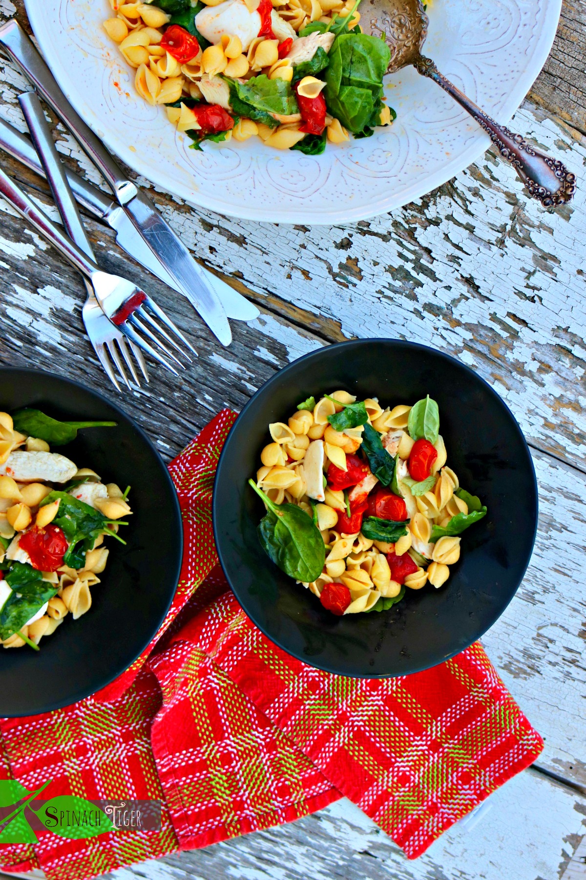 Chicken Pasta Shells, Gluten free with Roasted Tomatoes, Spinach from Spinach Tiger