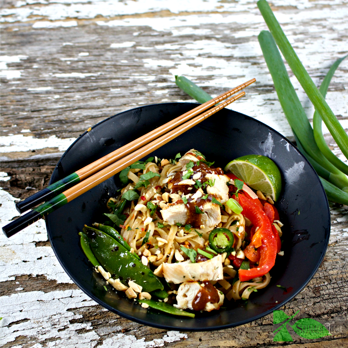 Gluten Free Thai Peanut Noodles with chicken Skewers from Spinach Tiger