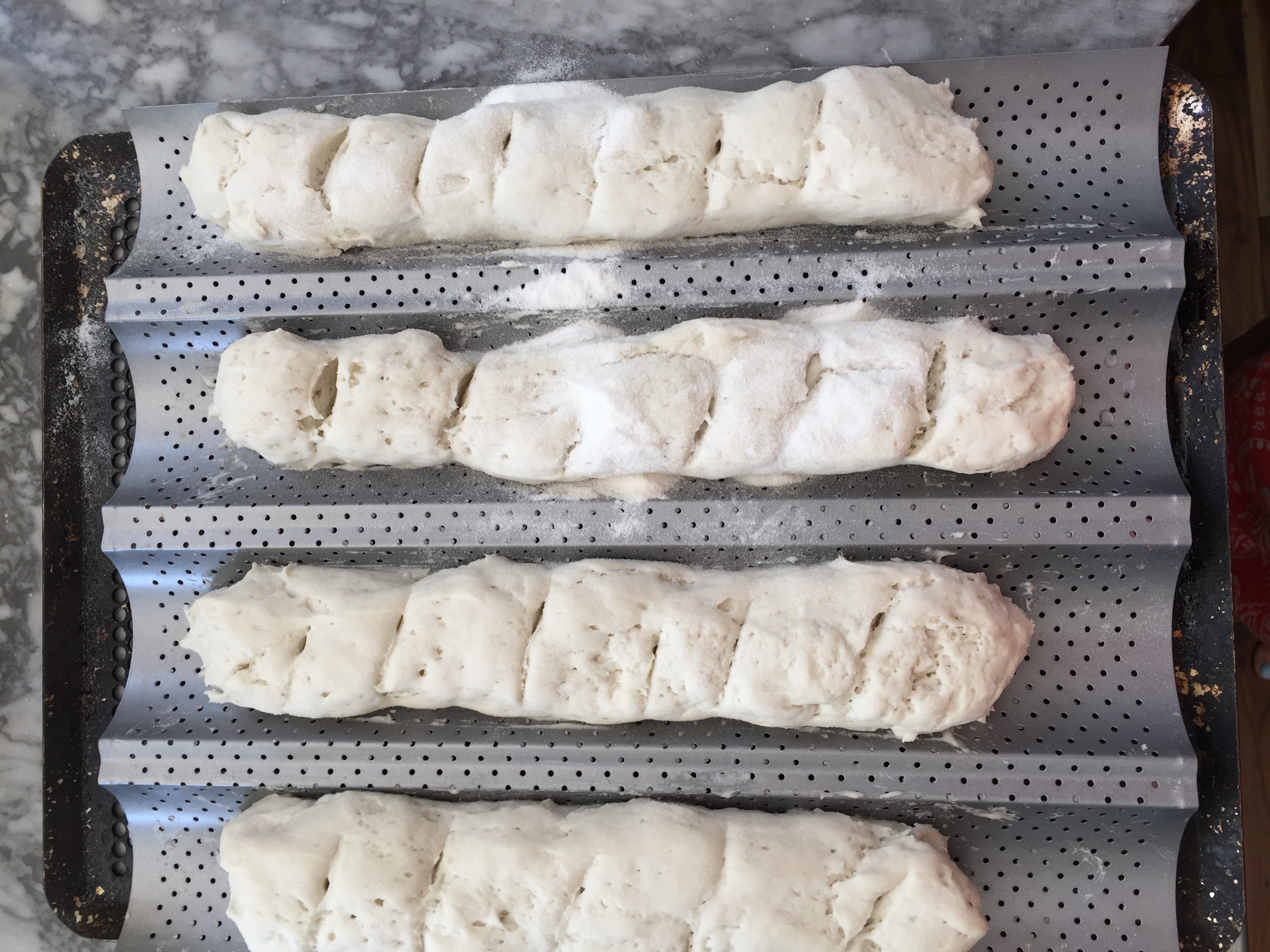 Unbaked Gluten Free French Bread from Spinach Tiger