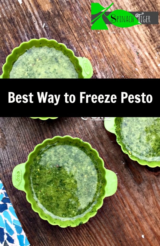 How to Freeze Pesto from Spinach TIger